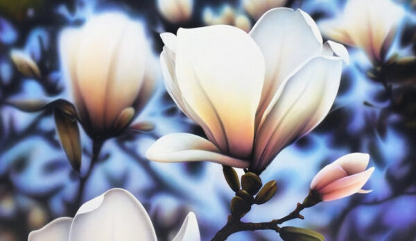 Magnolia Blue
